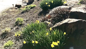 A house with a front yard, a driveway, and a mountain in the background. - Great location, beautiful mountain and sunset views, hot tub and shuffleboard. (Fairview)