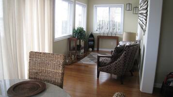 TV, DVD player, books, video library