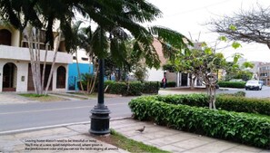 Área da propriedade