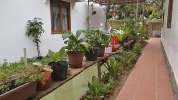 Jardines del alojamiento