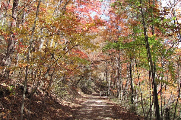 The Trail around Montlake.