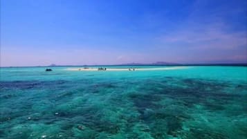 Pantai di sekitar, pasir putih, dan antar-jemput gratis ke pantai
