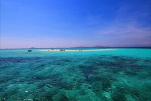 Plage à proximité, sable blanc, navette gratuite vers la plage