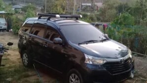 A black car parked on a grassy area with a hose lying on the ground.