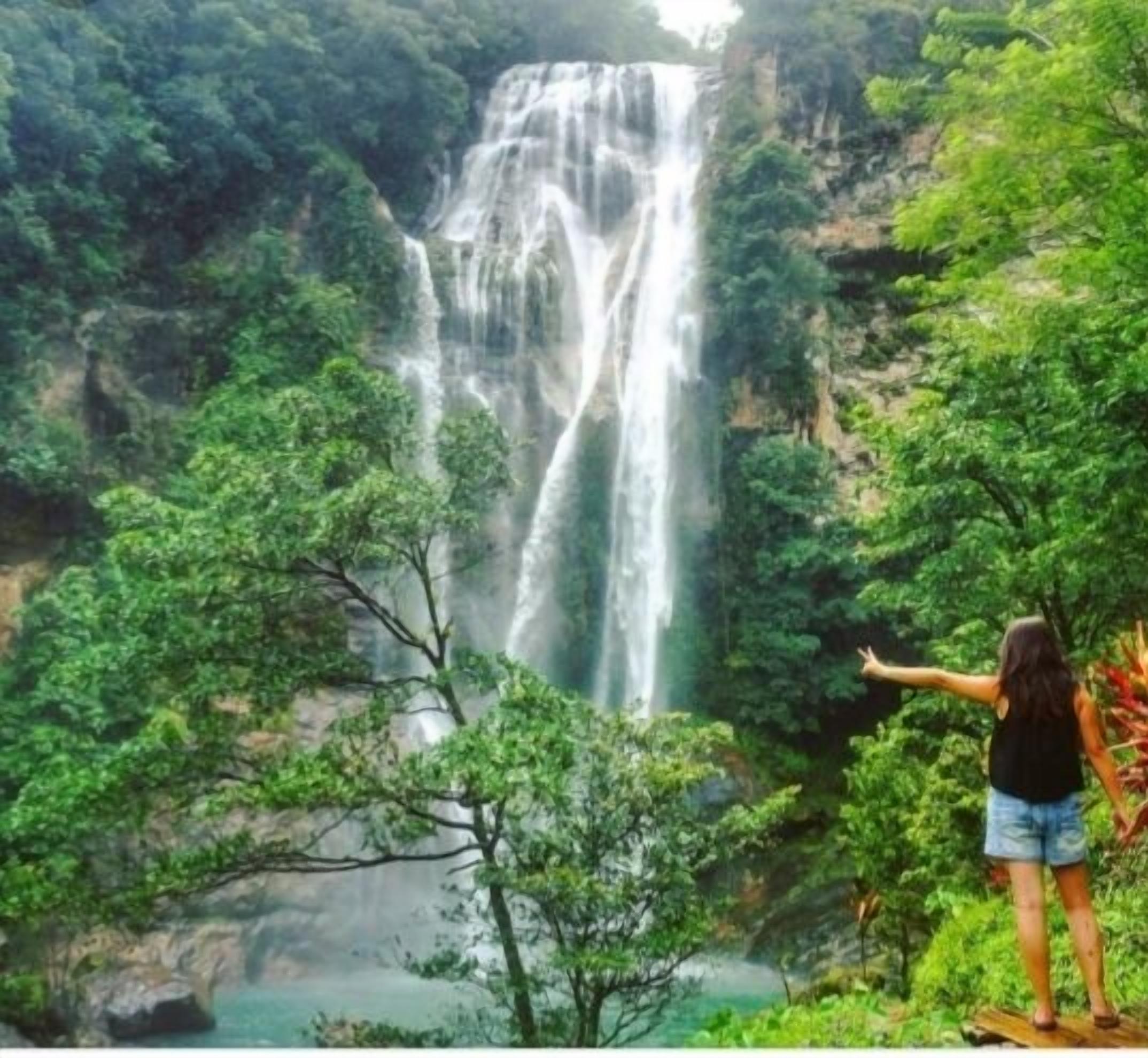 Una cascada rodeada de exuberante vegetación.