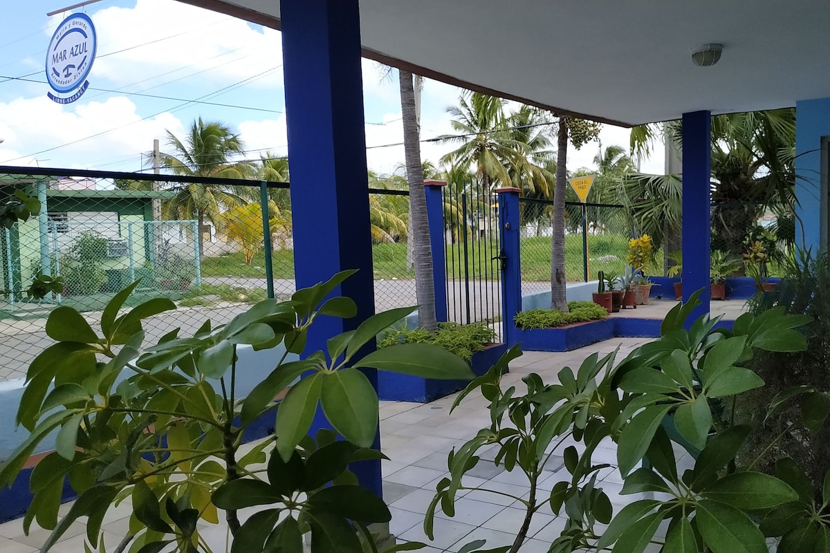 A covered outdoor area with blue pillars, a gated entrance, and potted plants.