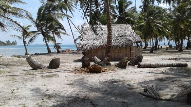 A beach hut with a thatched roof, surrounded by palm trees and a sandy beach.