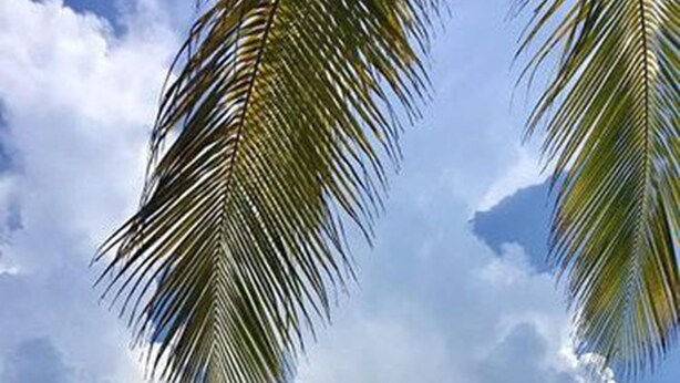 A beach with clear turquoise water, palm trees, and a cloudy sky. - Tripsyala (Ailigandí)