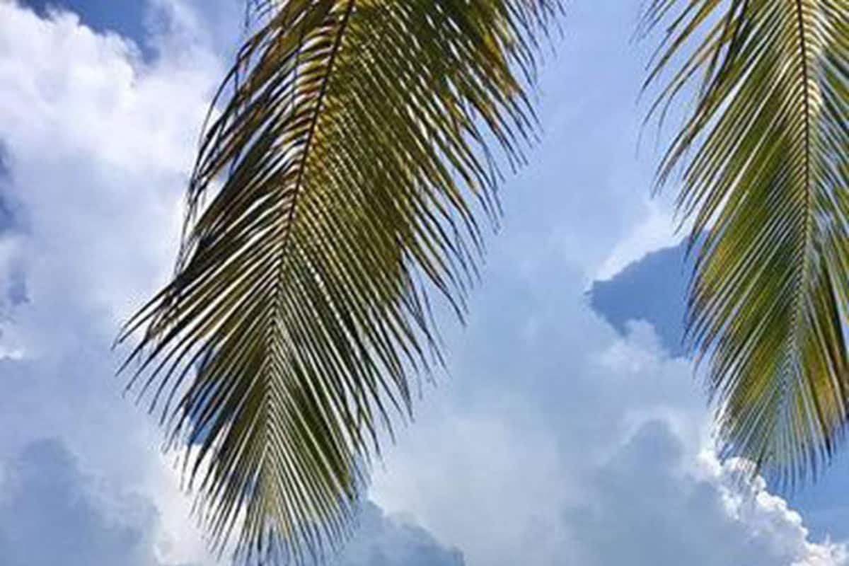 A beach with clear turquoise water, palm trees, and a cloudy sky.