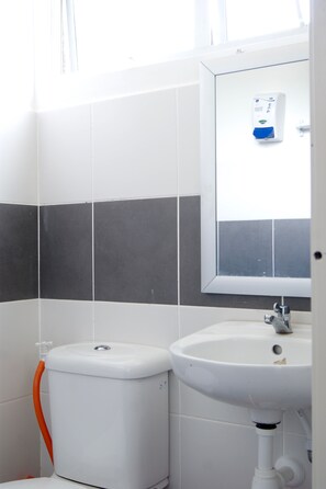 家庭公寓, 3 间卧室 | 浴室 | 淋浴设施、免费洗浴用品、吹风机、毛巾