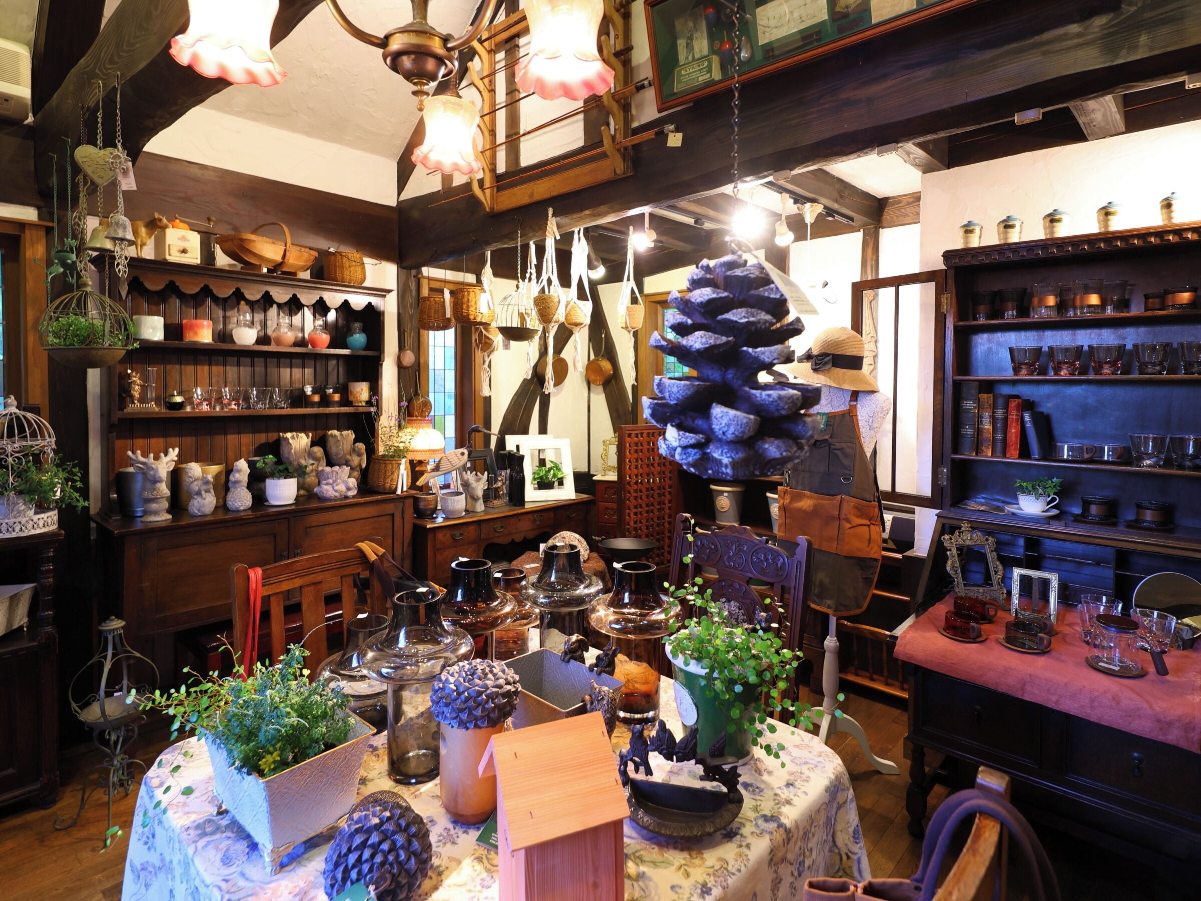 Une boutique accueillante et bien éclairée, avec des étagères et des tables en bois où sont exposés divers objets, comme de la poterie, des plantes et des objets décoratifs.