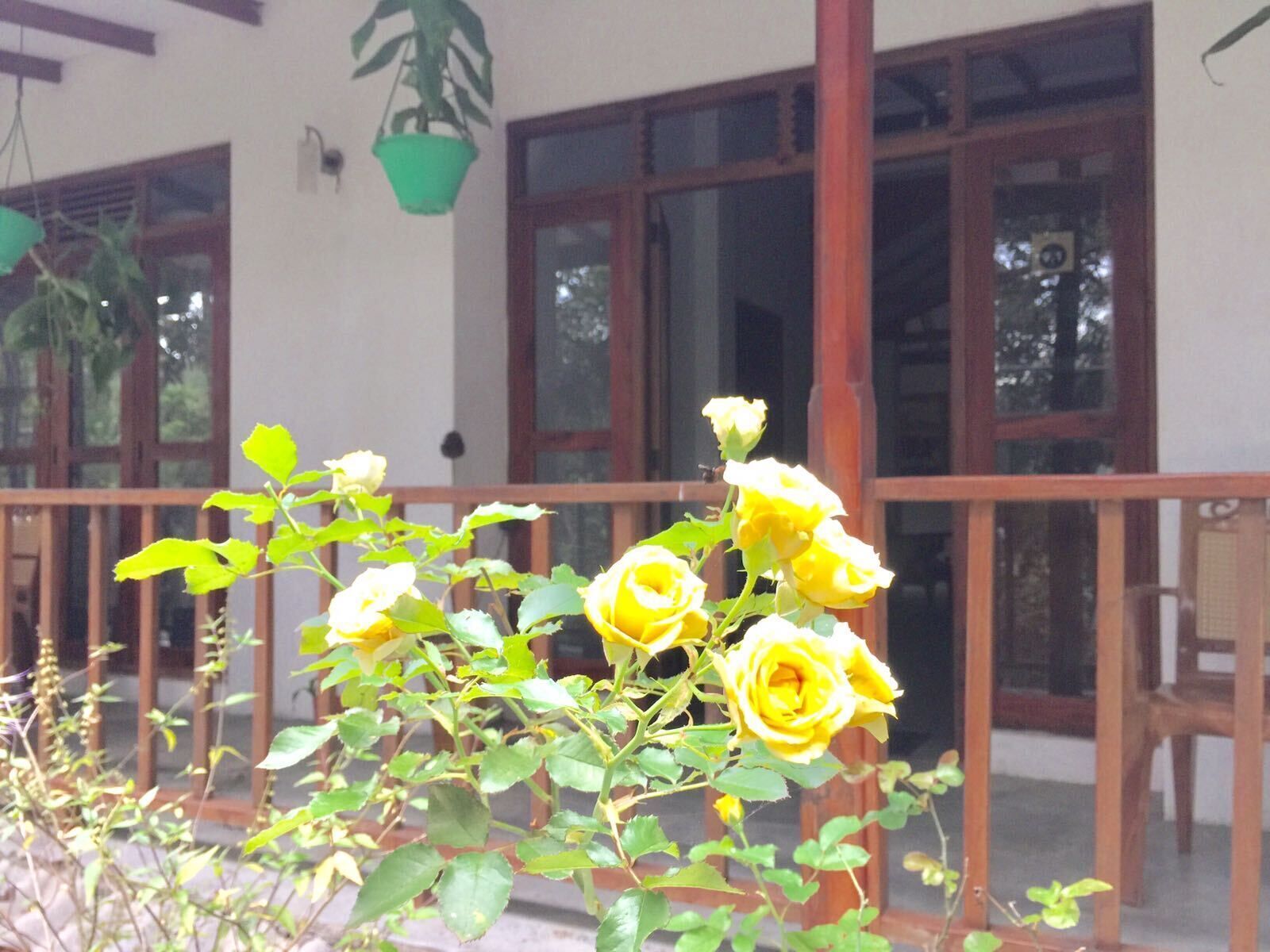 Kolmen hengen classic-huone | Terassi/patio