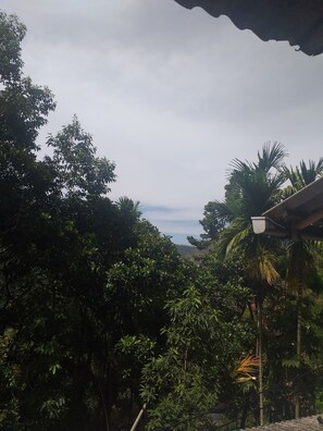 Exterior - ELLA NATURE NEST (Ella)