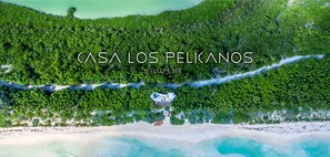 Private beach, sun-loungers, beach towels - Tulum beachfront 20min from hotel zone<br>Housekeeping-amazing food (TULUM)
