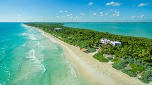 Enjoy beachfront relaxation and leisure activities at this coastal property surrounded by lush greenery and palm trees.
