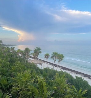 Private beach, sun loungers, beach towels
