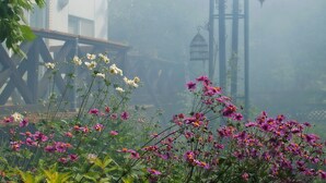 A garden with various flowers and a wooden structure. - Pension Entre - deux - Mers (Hachimantai)
