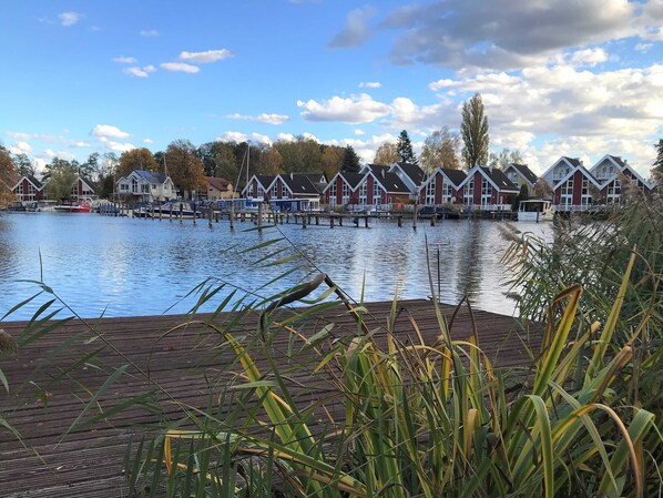 Unclassified image, 1 of 20, button