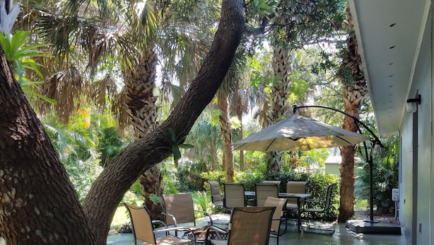 An outdoor patio with tables and chairs, surrounded by trees and a water feature.