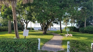 Escape to a serene oasis with a paved pathway through lush greenery, perfect for leisure activities.