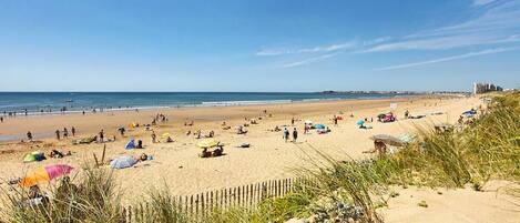 Strand