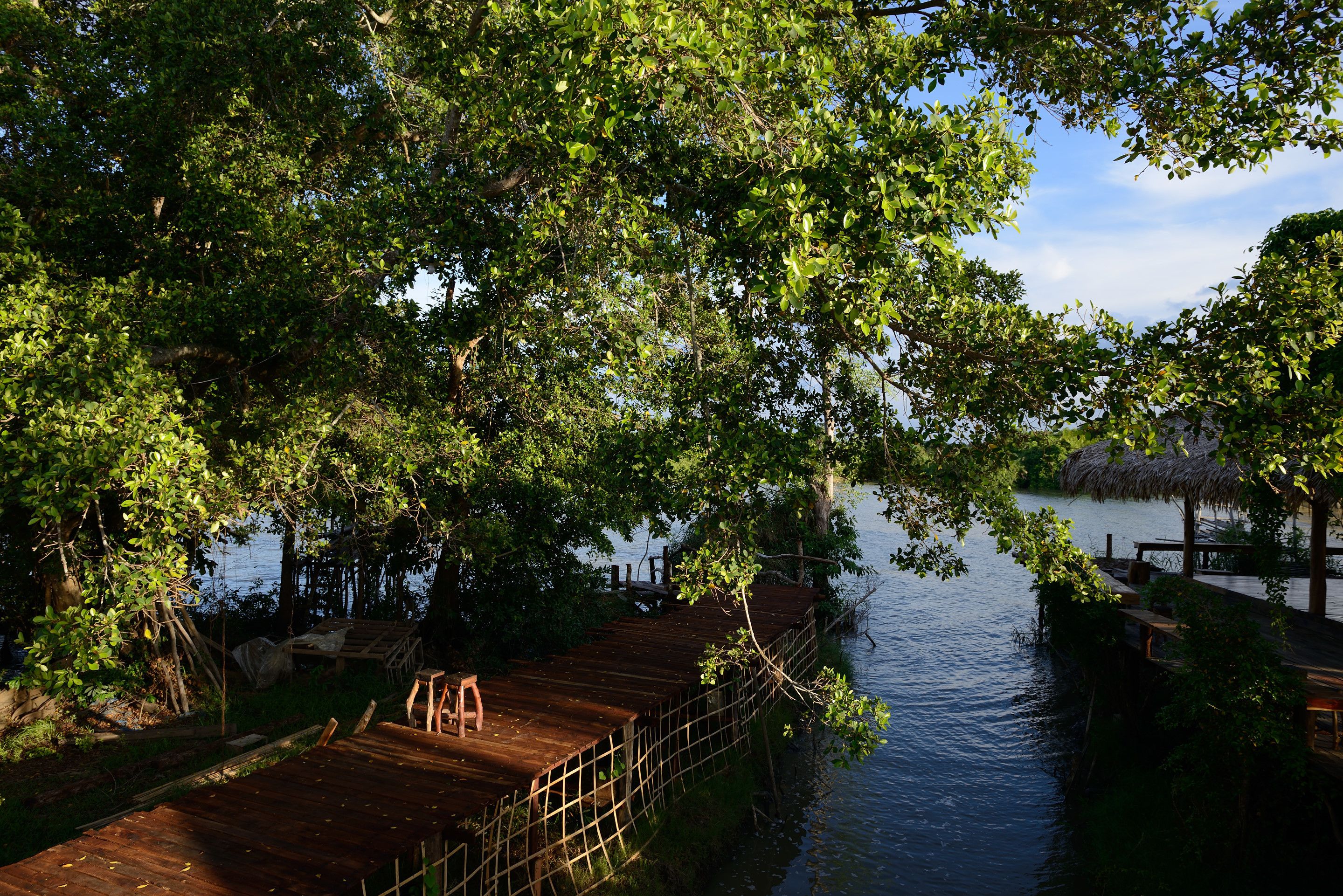 A wooden dock extending over calm water, surrounded by lush greenery and trees.
