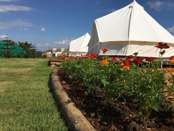 Indiadang Tent | Terrace/patio