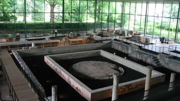 Un sitio arqueológico en interior con varias zanjas de excavación y una poza circular central.
