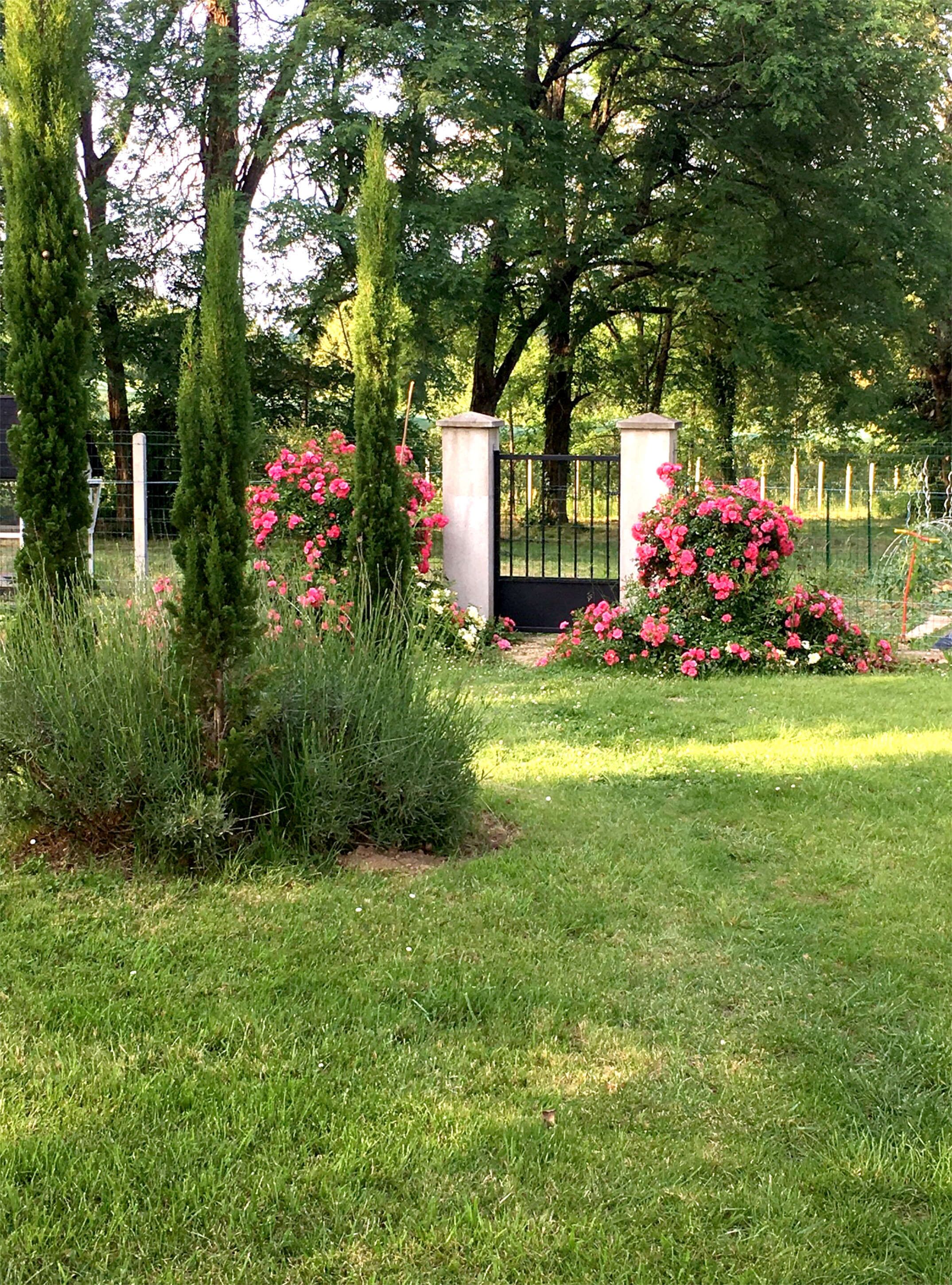 A well-maintained garden with a variety of plants and flowers, a metal gate, and a fence.