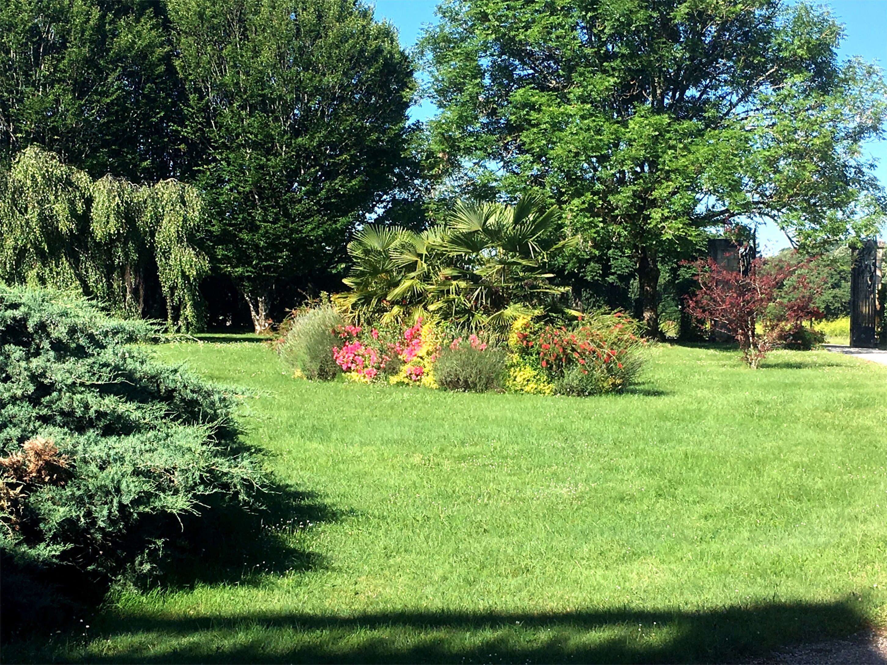 Un jardín bien cuidado con diversas plantas y árboles, cielo despejado y un sendero que atraviesa la vegetación.