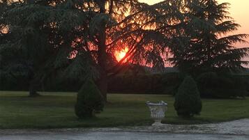 A sunset view with trees and a fountain in a park.