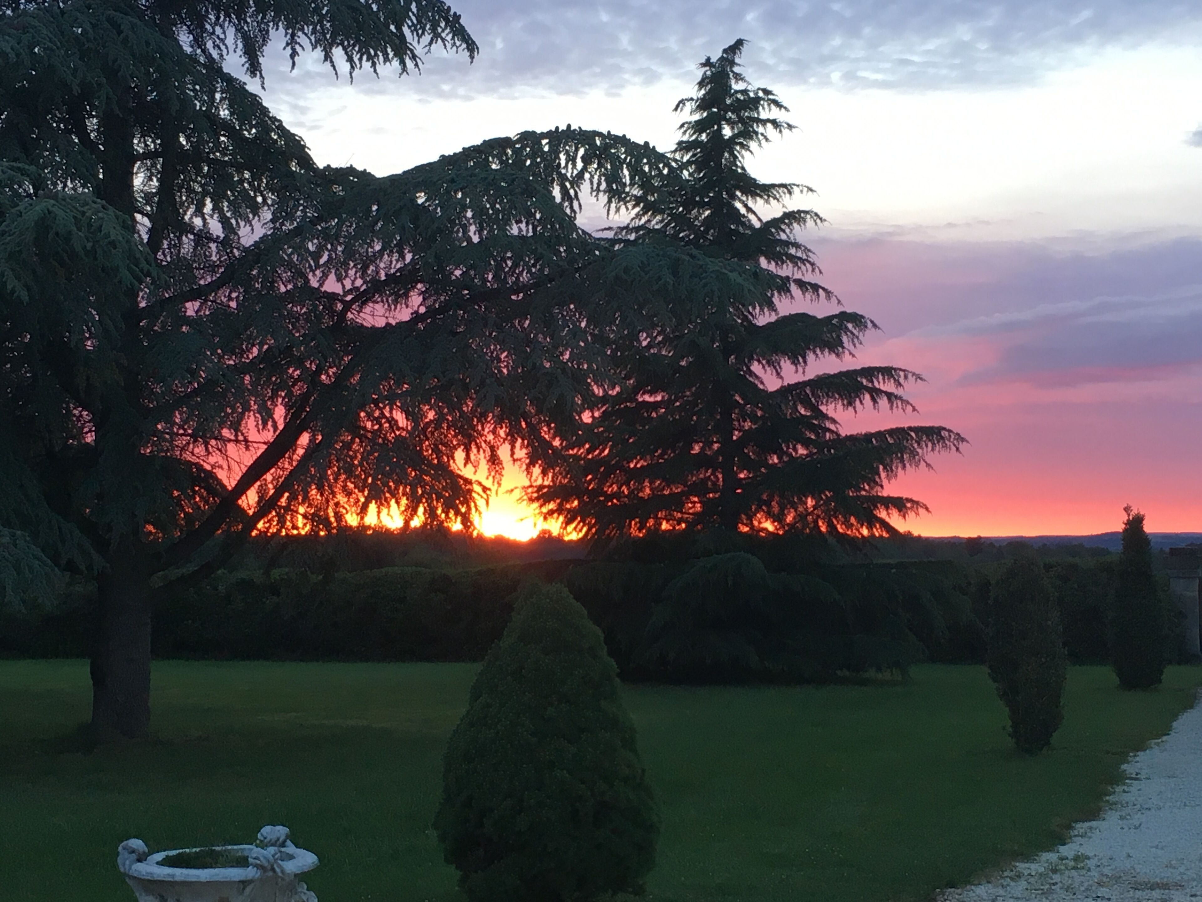 A sunset over a garden with trees and a pond.