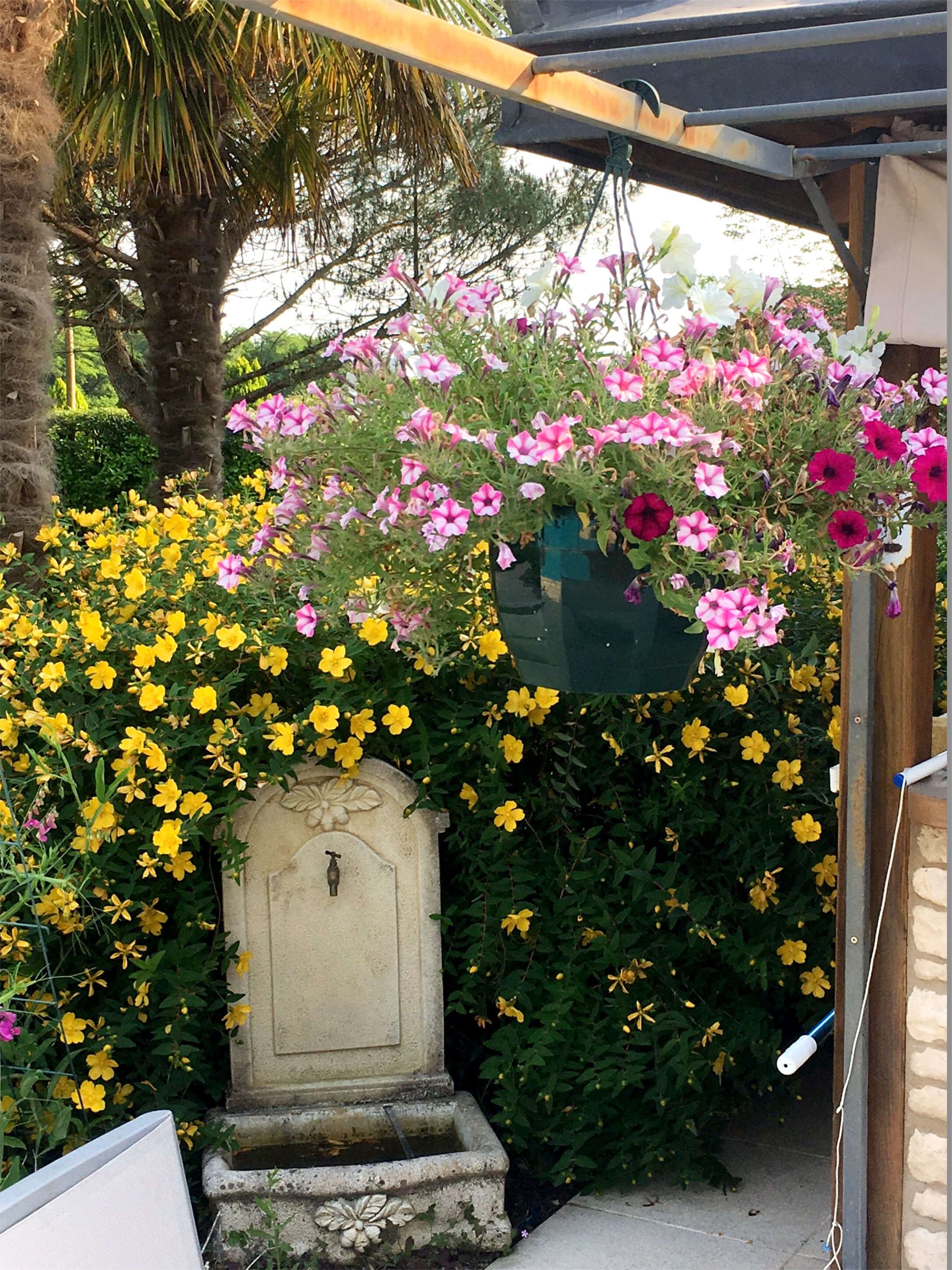 A garden with a stone fountain, surrounded by yellow and pink flowers, and a palm tree in the background.