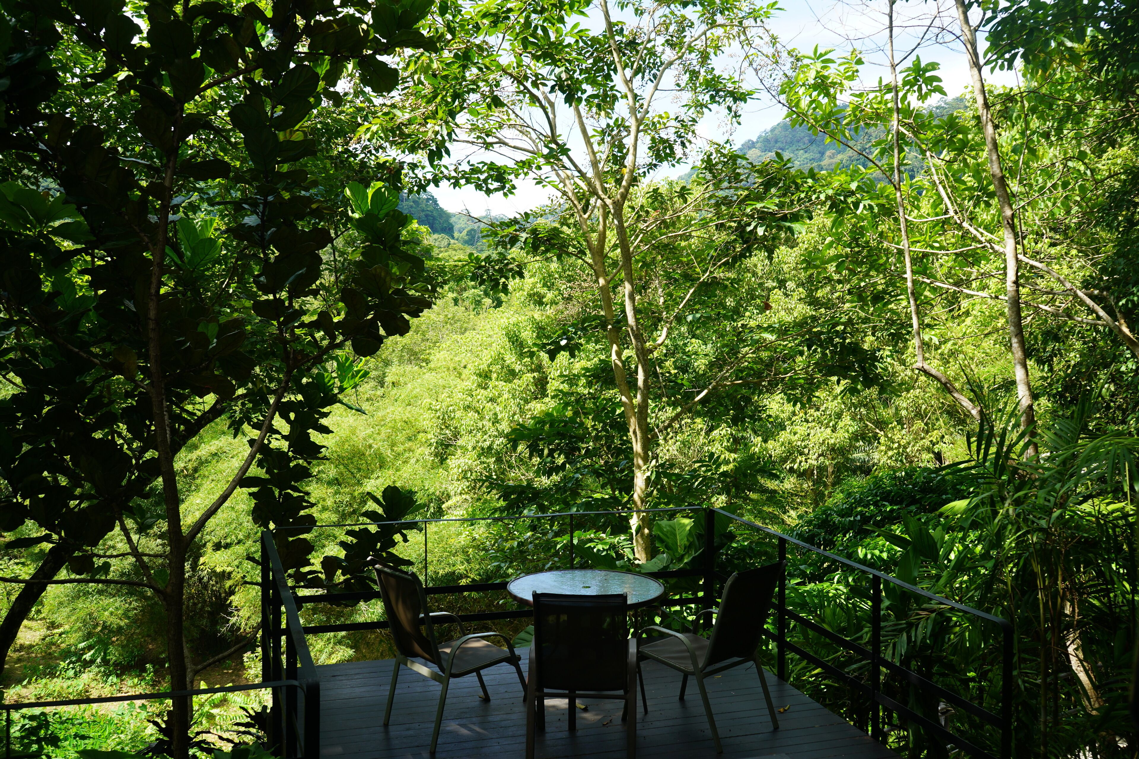 Teras/patio