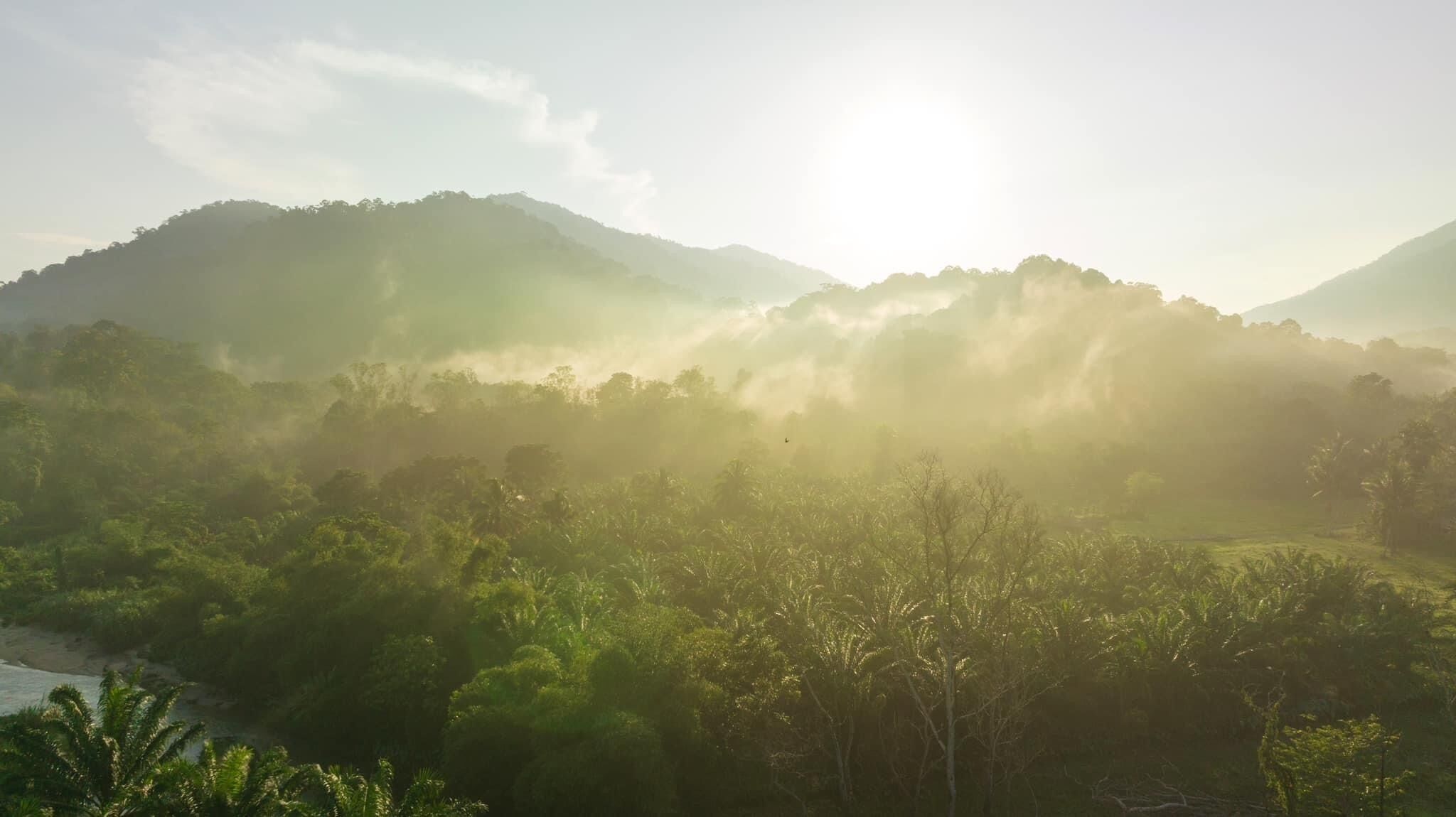 A landscape with mountains and dense greenery.