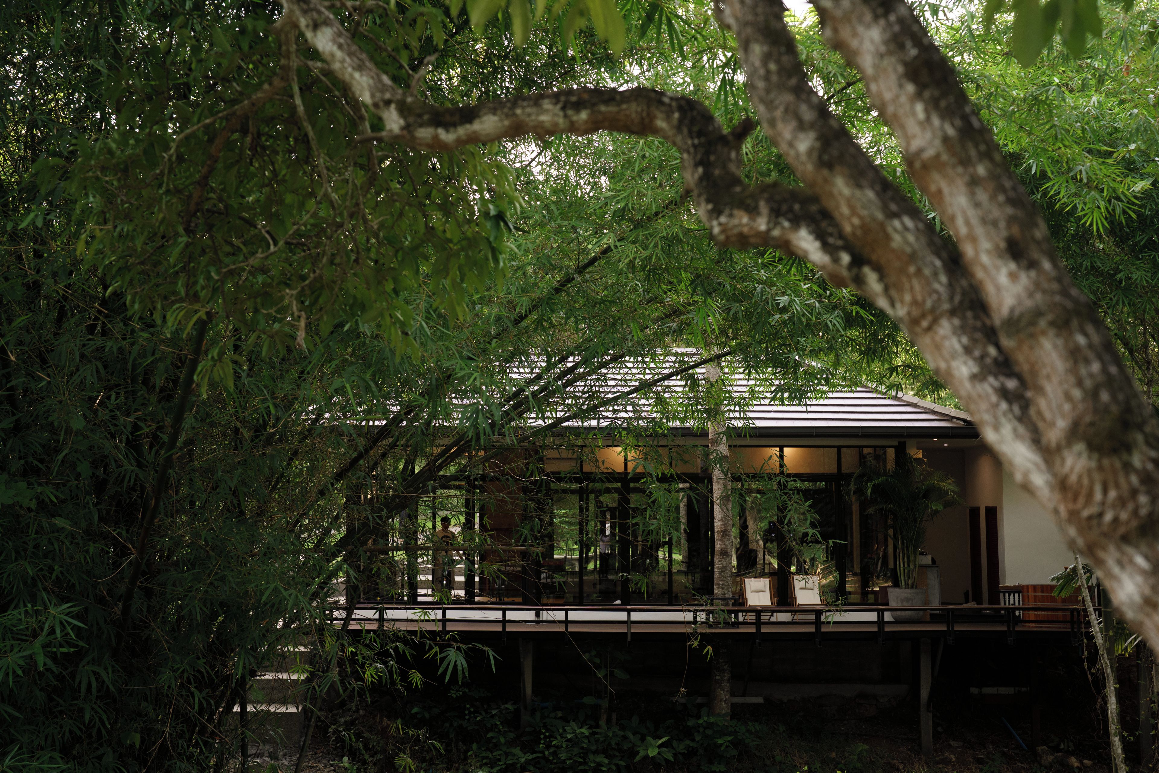 A modern building with a glass facade, surrounded by dense foliage.