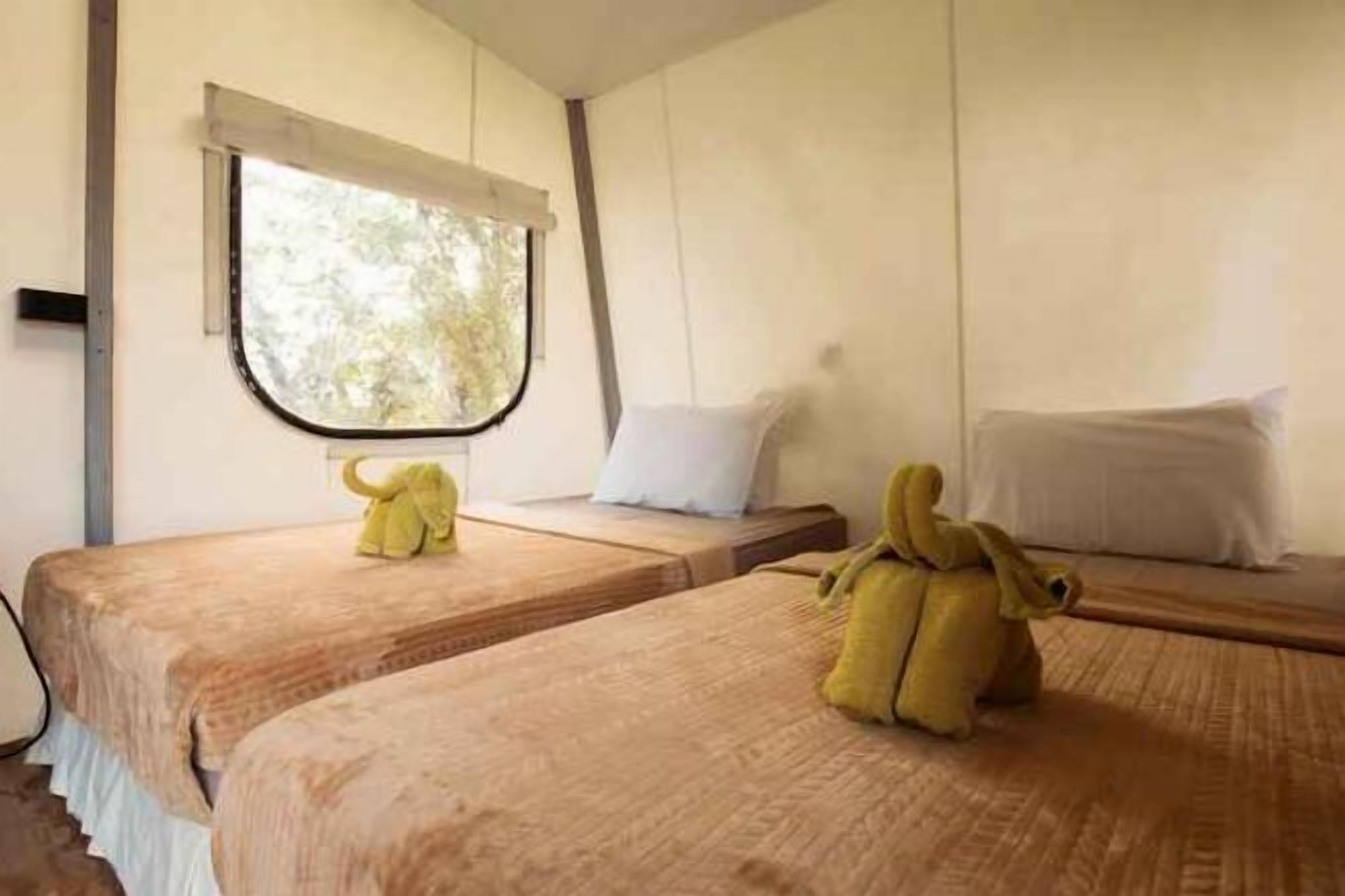 Minibar, in-room safe, desk, laptop workspace