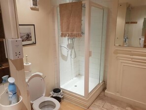A bathroom with a toilet, a shower with a glass door, a towel hanging on the shower door, and a framed picture on the wall.