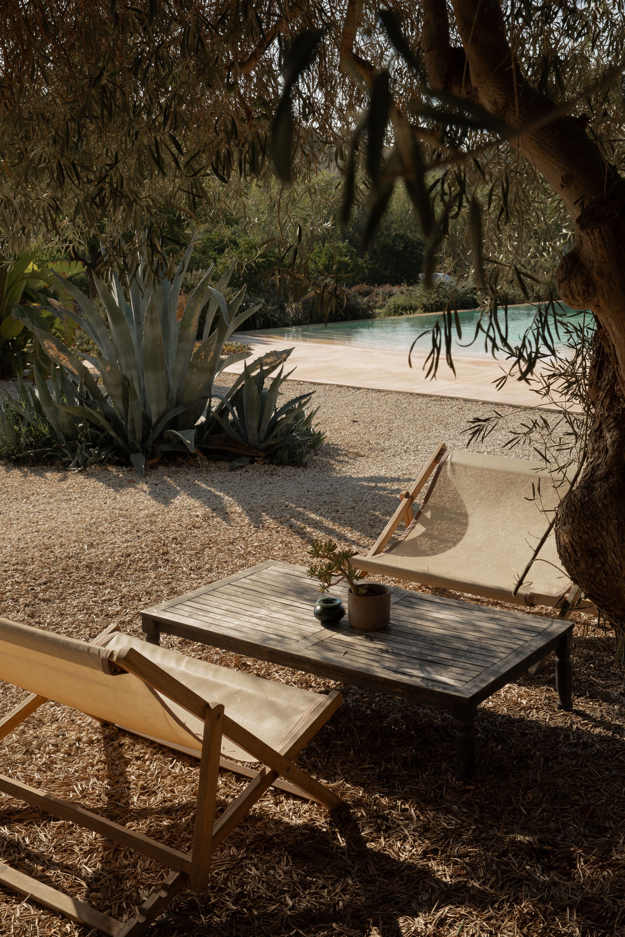 Un patio con tavolo e due sedie, circondato da piante e una piscina.