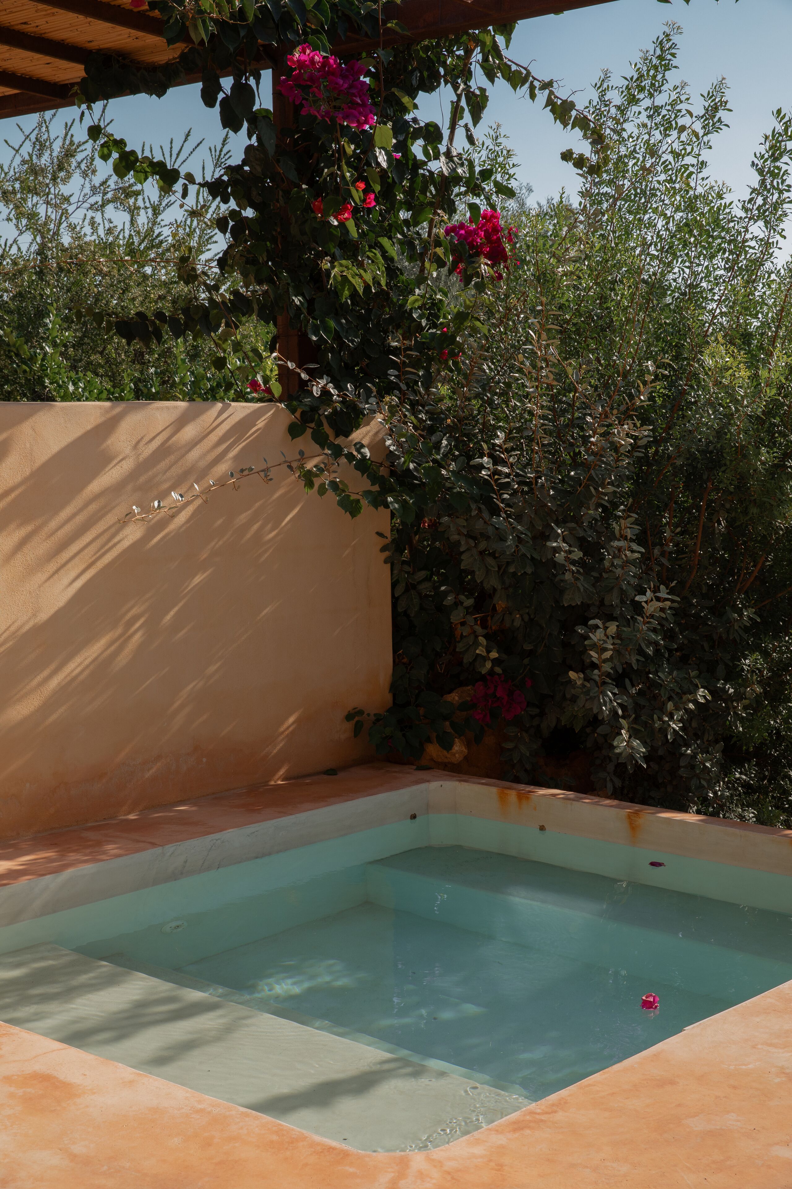 Une piscine rectangulaire à l’eau claire, entourée d’un mur de couleur beige et d’une végétation luxuriante.