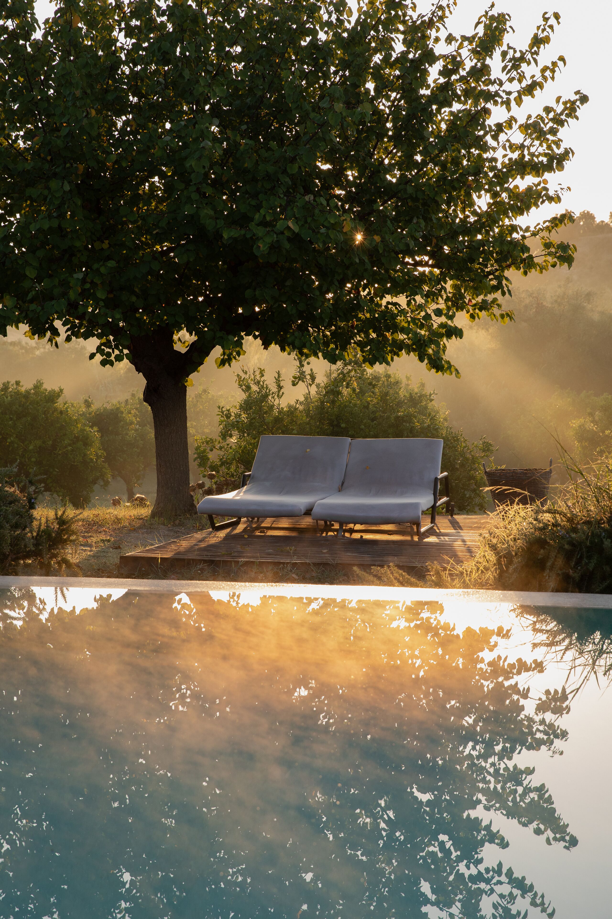 A wooden deck with a bench under a tree, overlooking a pool.