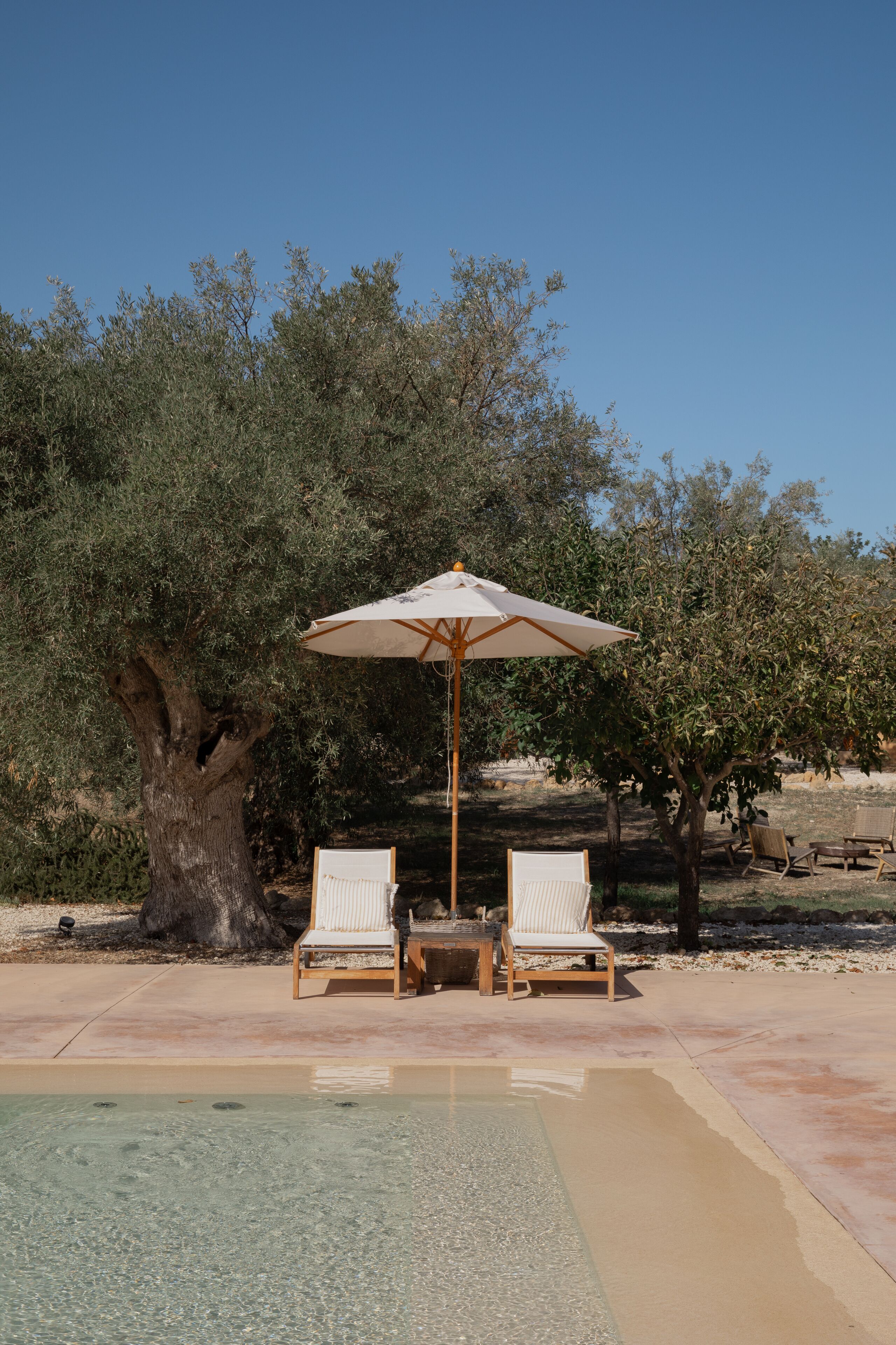 A pool area with two lounge chairs and a table under an umbrella, surrounded by olive trees.