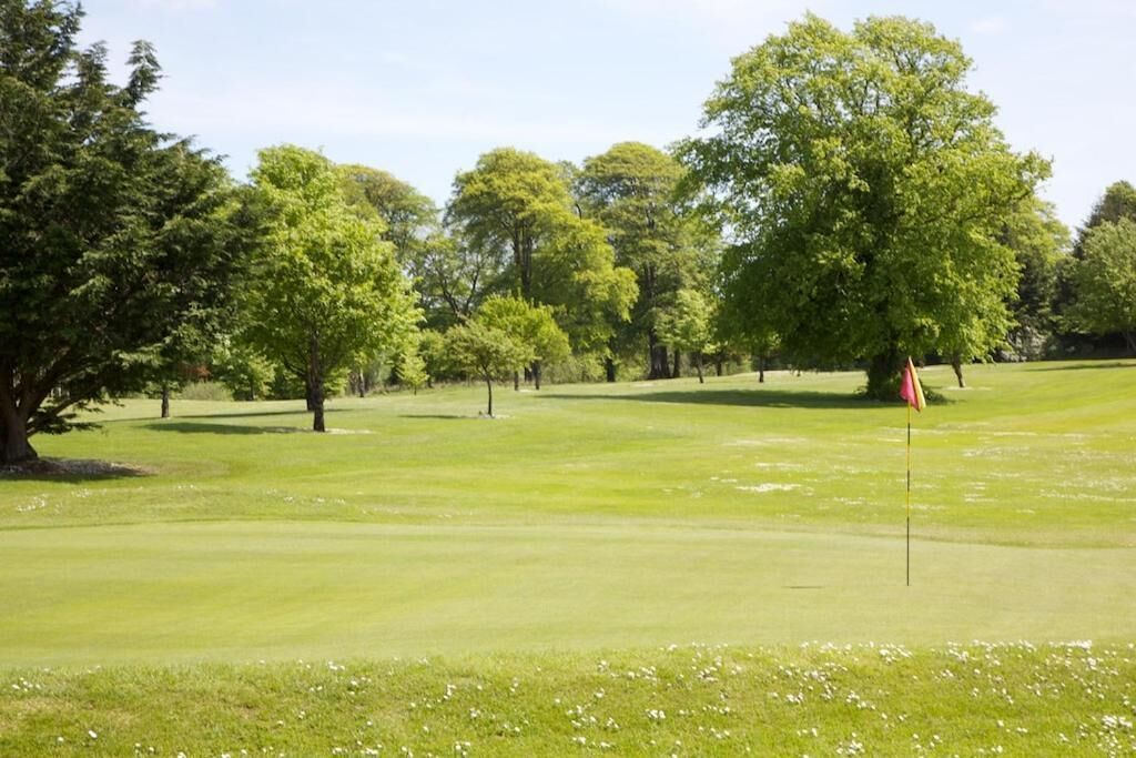 A golf course with a flagstick, trees, and a clear sky.