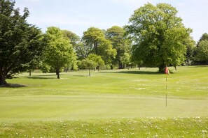 Golf - Tully's Hotel (Castlerea)