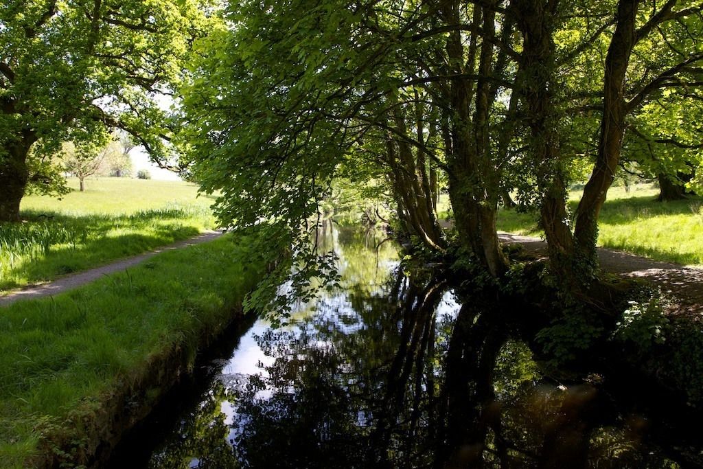 A narrow water channel flanked by lush greenery and trees, with a path running alongside.