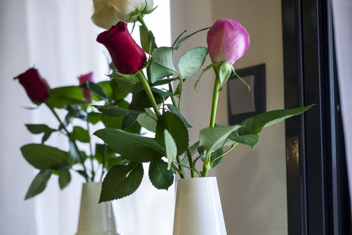 A white vase with roses on a table near a window.