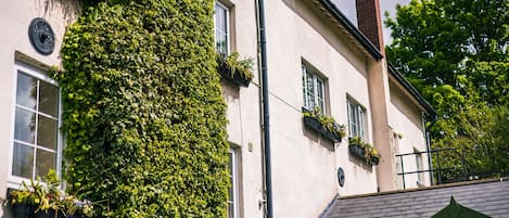 Un edificio con muros cubiertos de hiedra, varias ventanas con contraventanas y una chimenea.