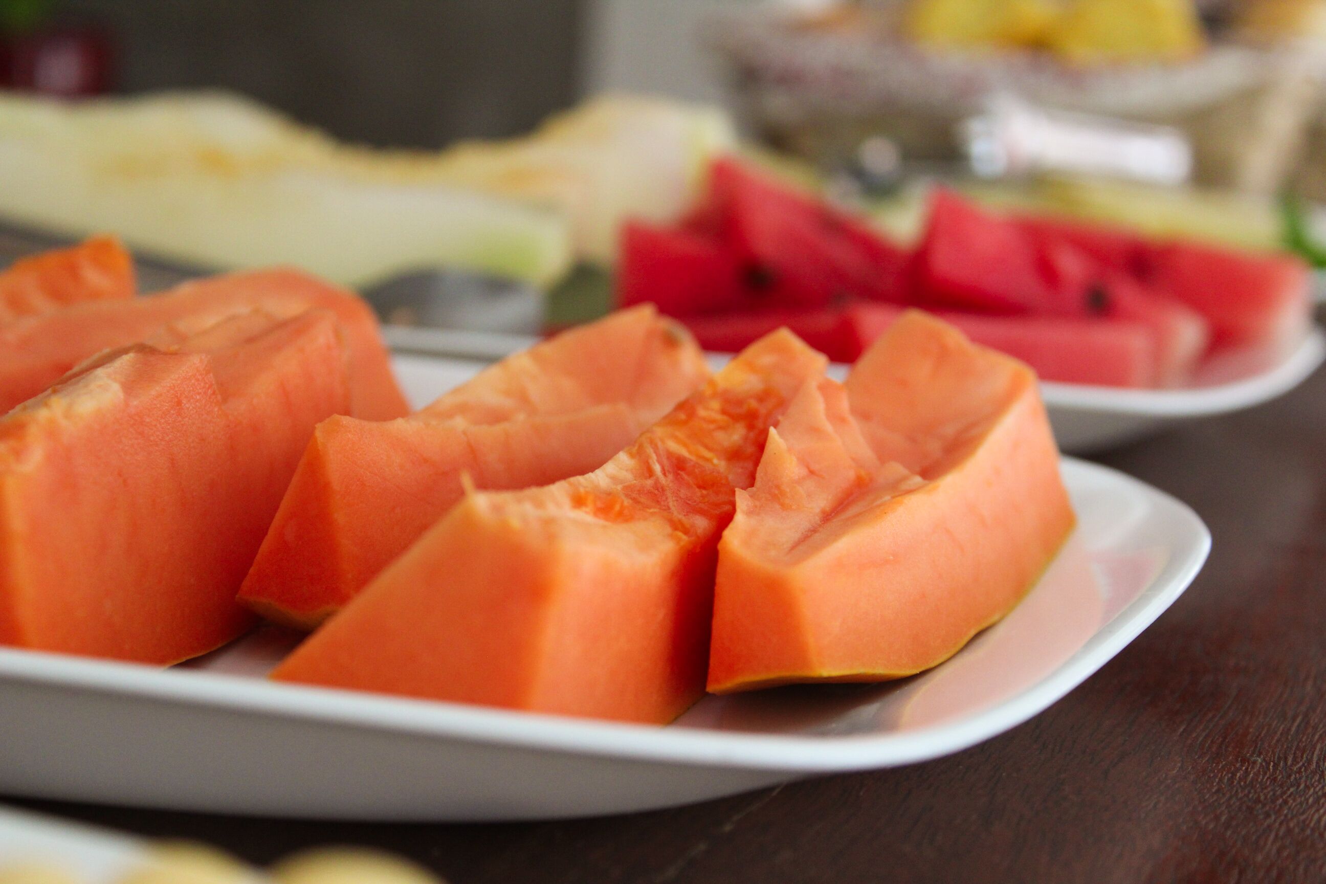 Foto - Pousada Tartaruga