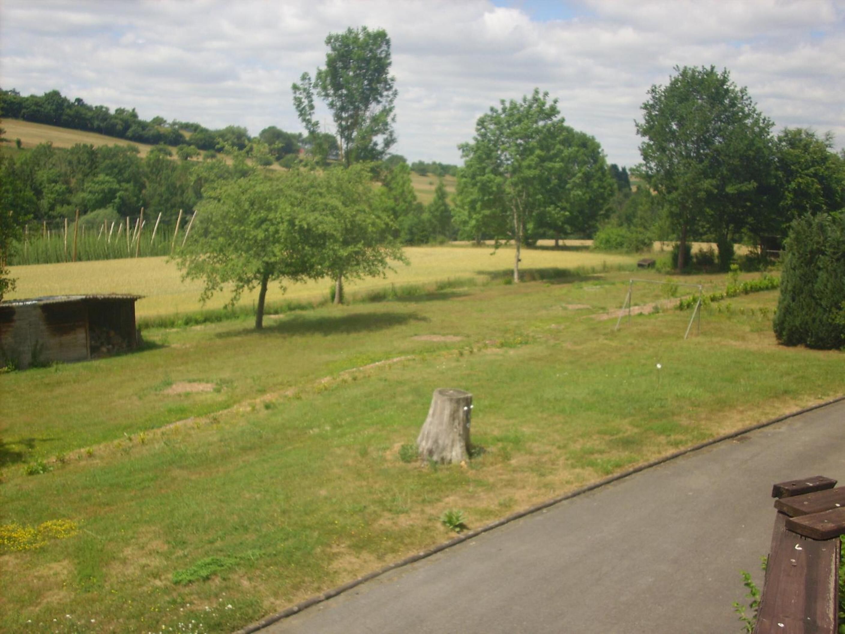 A rural landscape with a dirt road, trees, and a small wooden structure.