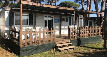 Camping La Scogliera